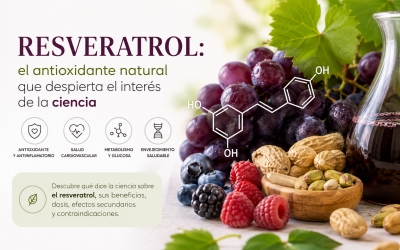 RESVERATROL: El antioxidante natural que despierta el interés de la ciencia